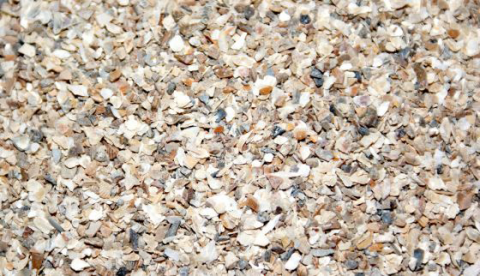 Thijssen grit/kiezel Oestergrit 2 kg